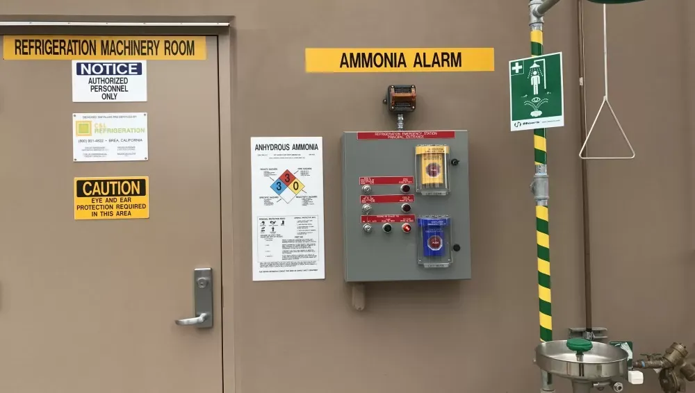 Ammonia system